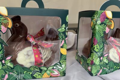 Agrandir l'image 13 sur 21, fenêtre modale