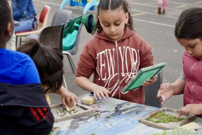 Agrandir l'image, fenêtre modale