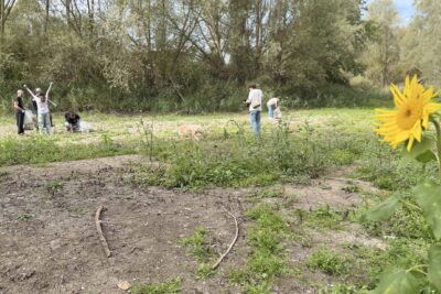Agrandir l'image 7 sur 20, fenêtre modale