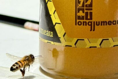 Agrandir l'image, fenêtre modale