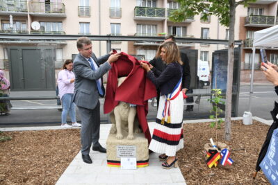 Agrandir l'image 1 sur 3, fenêtre modale