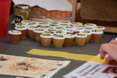 Agrandir l'image 6 sur 26, fenêtre modale