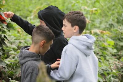 Agrandir l'image 2 sur 8, fenêtre modale