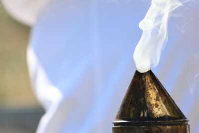 Agrandir l'image 5 sur 8, fenêtre modale