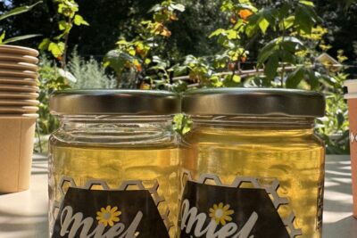 Agrandir l'image 7 sur 8, fenêtre modale