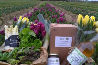 Agrandir l'image, fenêtre modale