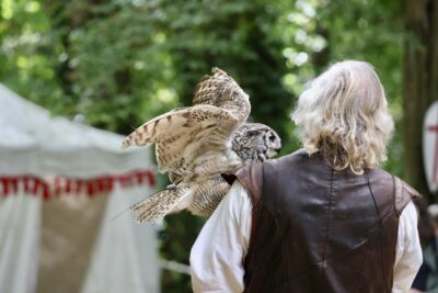 Agrandir l'image 23 sur 34, fenêtre modale