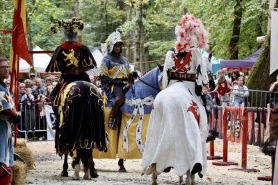 Agrandir l'image 30 sur 34, fenêtre modale