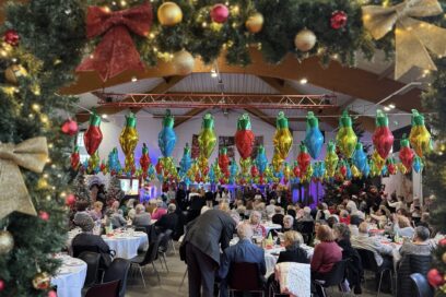 Agrandir l'image, fenêtre modale