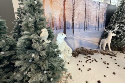 Agrandir l'image 4 sur 28, fenêtre modale