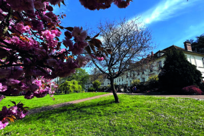 Agrandir l'image 1 sur 24, fenêtre modale