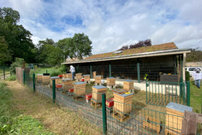 Agrandir l'image 11 sur 24, fenêtre modale