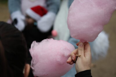 Agrandir l'image 17 sur 23, fenêtre modale