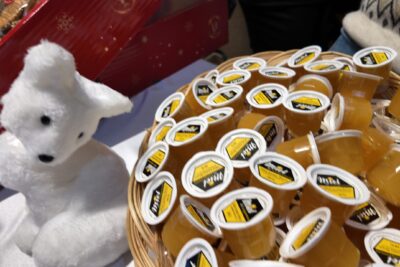 Agrandir l'image 18 sur 28, fenêtre modale